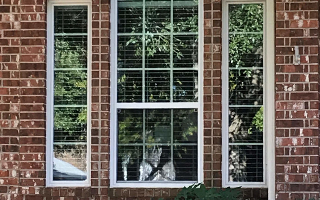 ARCH WINDOWS IN THE CENTER